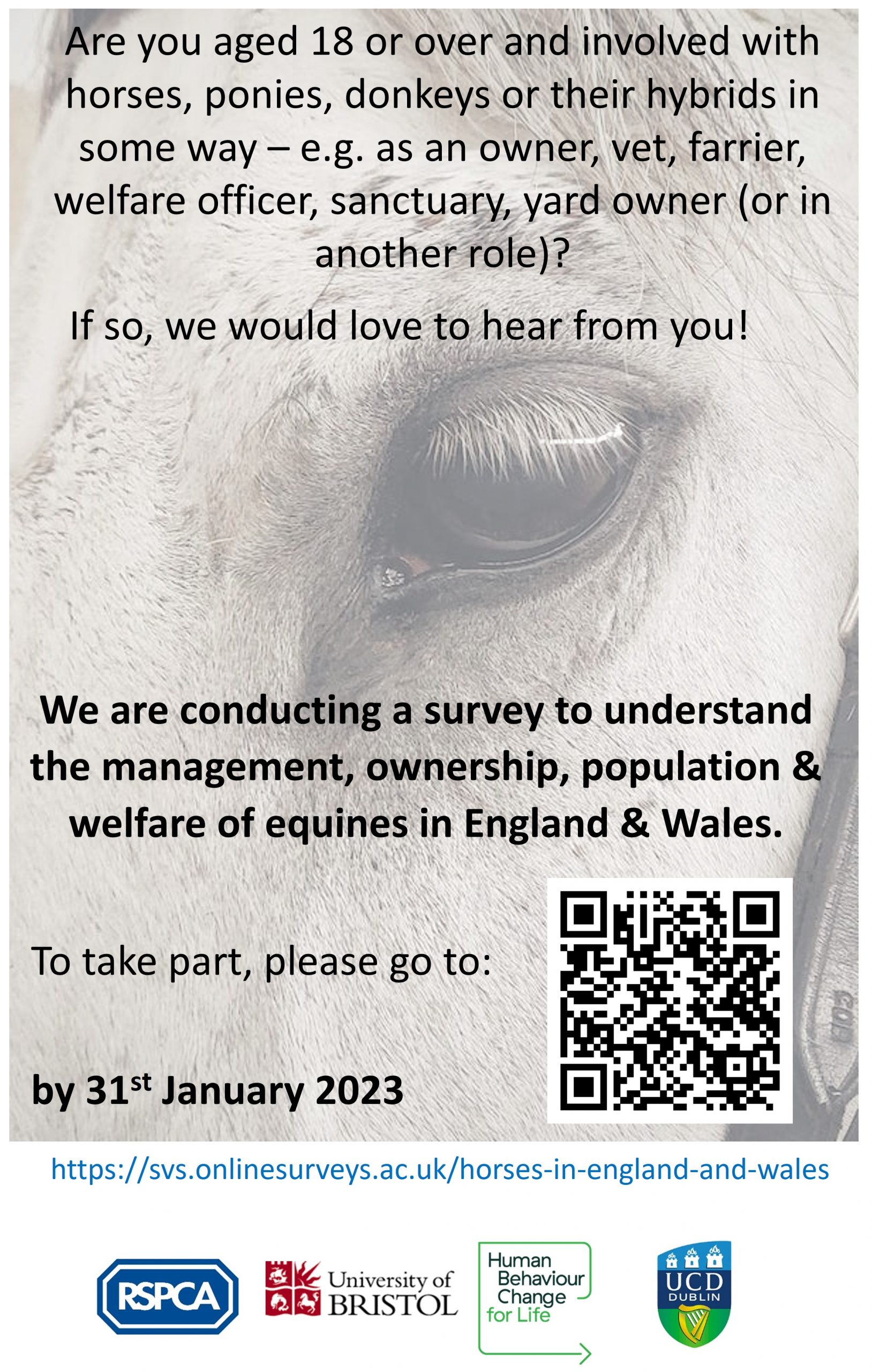New RSPCA survey on equine management, ownership, population and ...